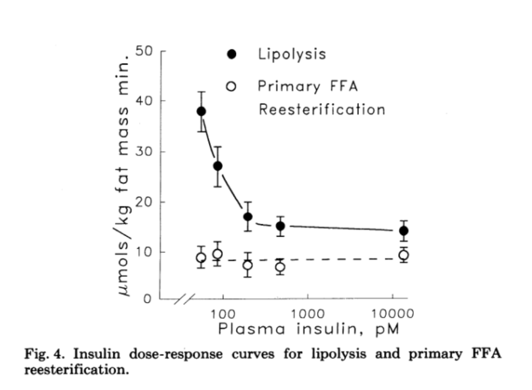 Graph 2